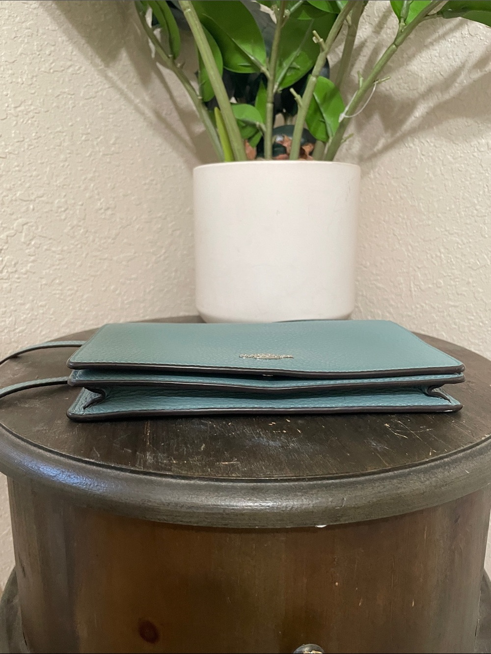 COACH Hayden Pebbled Leather Crossbody Bag in Light Blue - Picture 4 of 10